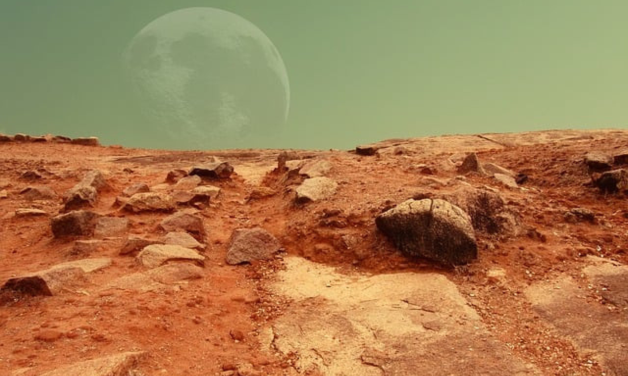 Da li se to na MARSU pojavilo DRVEĆE?