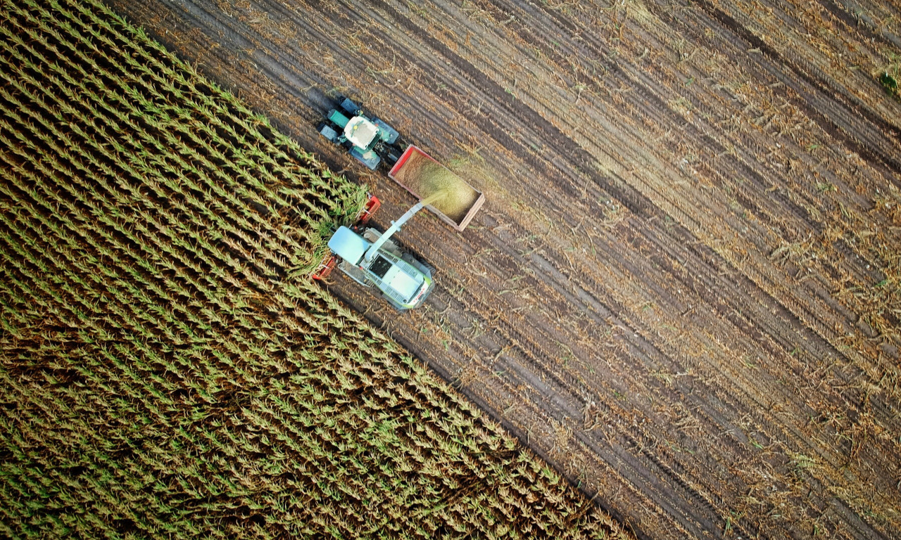 Naša zemlja jeste BLAGORODNA, ali je stvarno PRESKUPA: Cene ORANICA porasle za 4 % u prvoj polovini 2023. godine