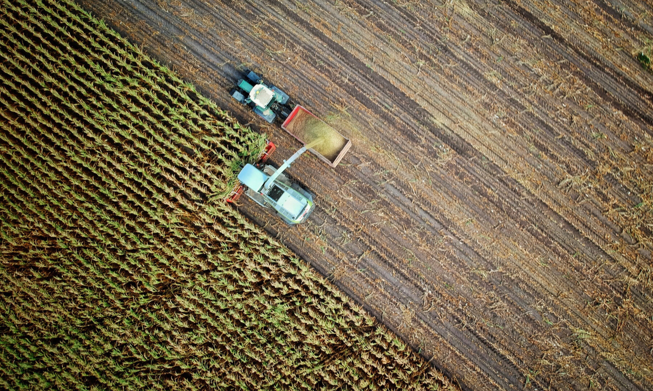 Naša zemlja jeste BLAGORODNA, ali je stvarno PRESKUPA: Cene ORANICA porasle za 4 % u prvoj polovini 2023. godine