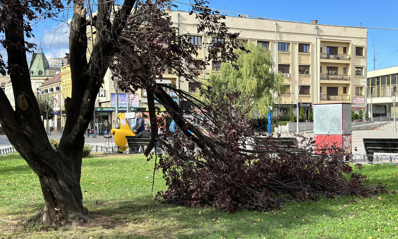 OLUJNI VETAR pravi rusvaj po Srbiji - pada drveće, LJUJAJU SE KRANOVI: Autoput Subotica-Novi Sad BLOKIRAN