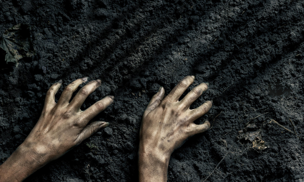 OTKRIVEN ORGANIZAM KOJI JE ČUDO NA ZEMLJI Otkud on ovde? Kopneni džin uplašio i naučnike!