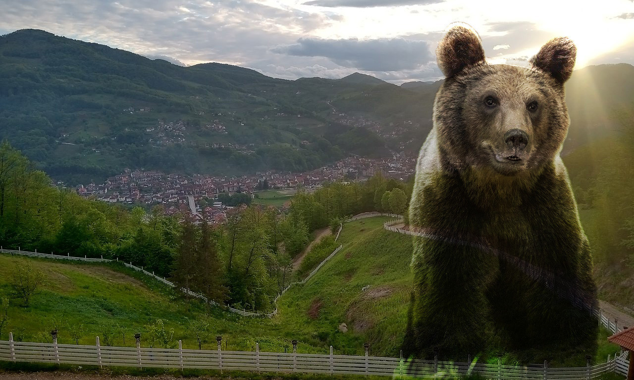 DRAMA NA VLAŠIĆU Mladića napao medved kod ski staze: Još ne može da veruje da se izvukao i da je živ