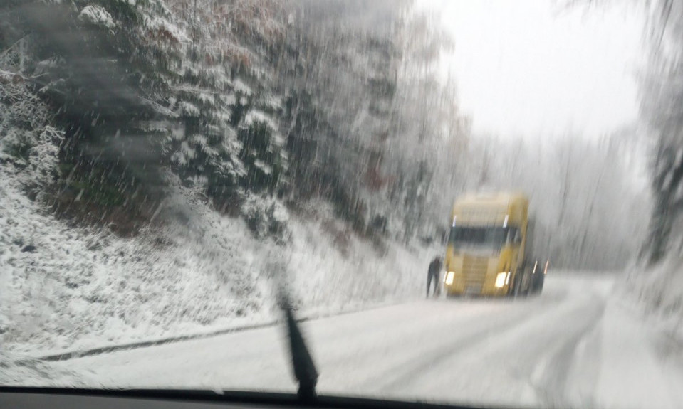 SAOBRAĆAJ od Nove Varoši prema Zlatiboru PARALISAN: Sneg koji VEJE oborio drvo na magistralni put