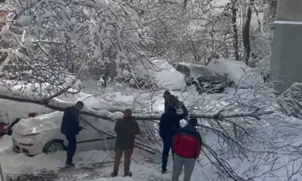 Prve ŽRTVE SNEŽNE OLUJE! Troje mrtvih u Bugarskoj i Moldaviji: Zbog mećave otkazani letovi, KOLAPS U SAOBRAĆAJU