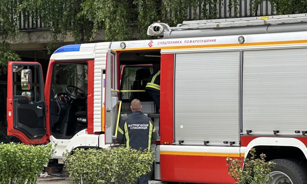 JOŠ JEDAN POŽAR U NOVOM SADU Zapalili nisko rastinje, pa pobegli kad su došli vatrogasci (VIDEO)