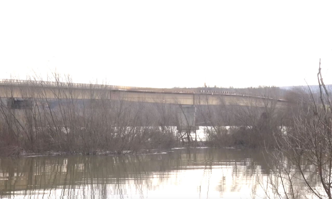 Pokrajinski štab za vanredne situacije: "Vodostaj Dunava nizak, mi ćemo pratiti situaciju..."