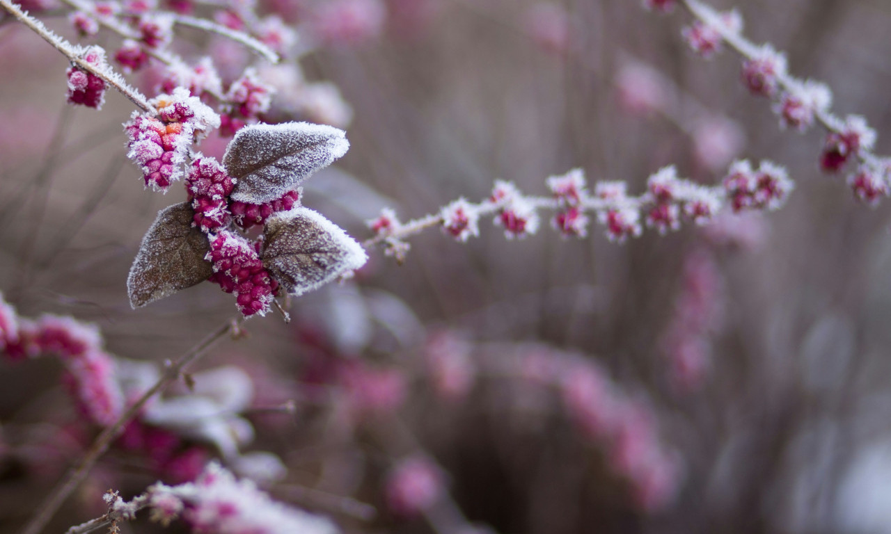 NA PLANINAMA SNEG Tokom dana smena sunca i oblaka, popodne naoblačenje, a evo kakvo nas vreme očekuje narednih dana