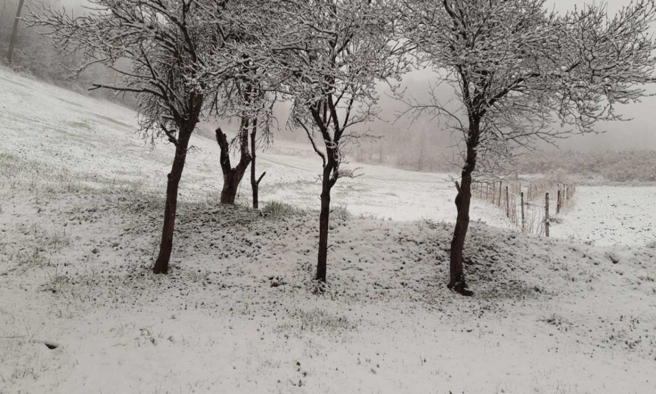 DRASTIČNA PROMENA VREMENA U SRBIJI! Stiže nam SNEG U APRILU!