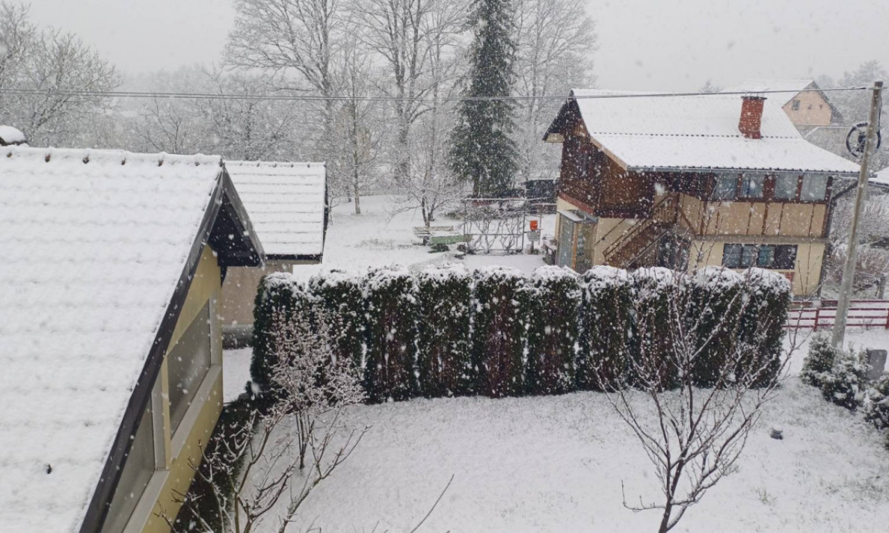 Pogledajte NEVEROVATNE PRIZORE SA ZLATIBORA! Do juče je sijalo SUNCE, a sada počeo da PADA SNEG (VIDEO)