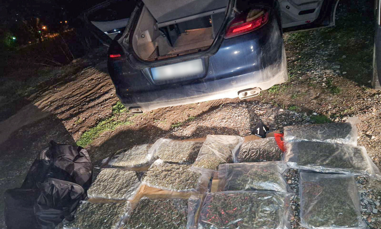 Veliki plen NOVOSADSKE POLICIJE! Zaplenili više od 50 kilograma MARIHUANE i KEŠ (FOTO)