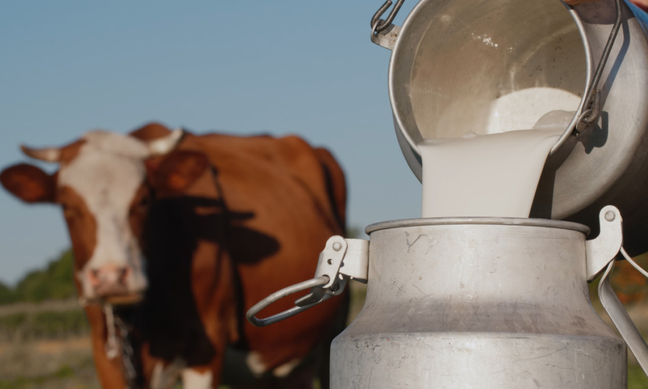 Mlekara Šabac u saradnji sa 1.000 lokalnih farmera godišnje preradi 50 miliona litara mleka
