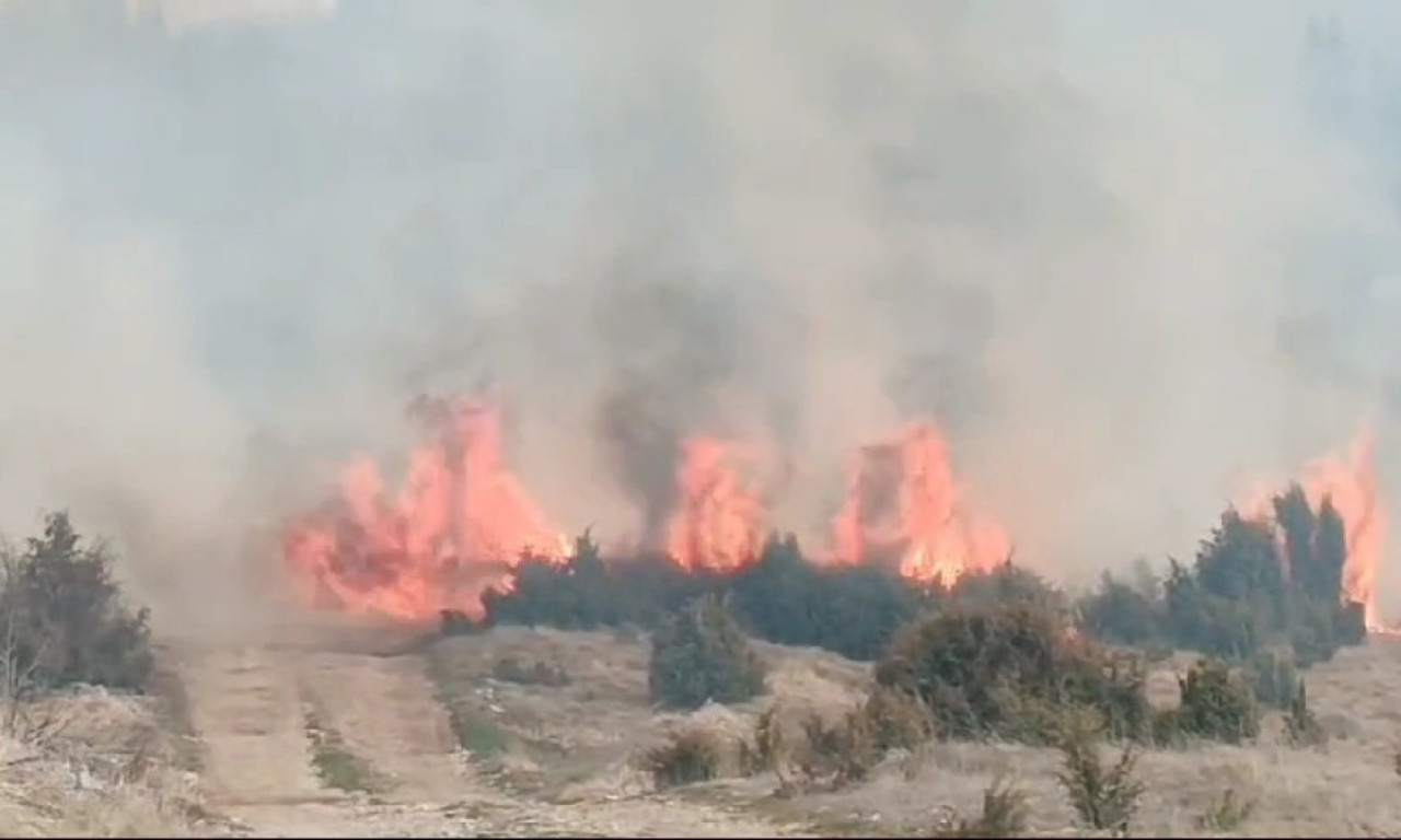 Pogledajte TUŽNE FOTOGRAFIJE IZ SELA BABINE! POŽAR zahvatio više od 100 hektara (VIDEO+FOTO)