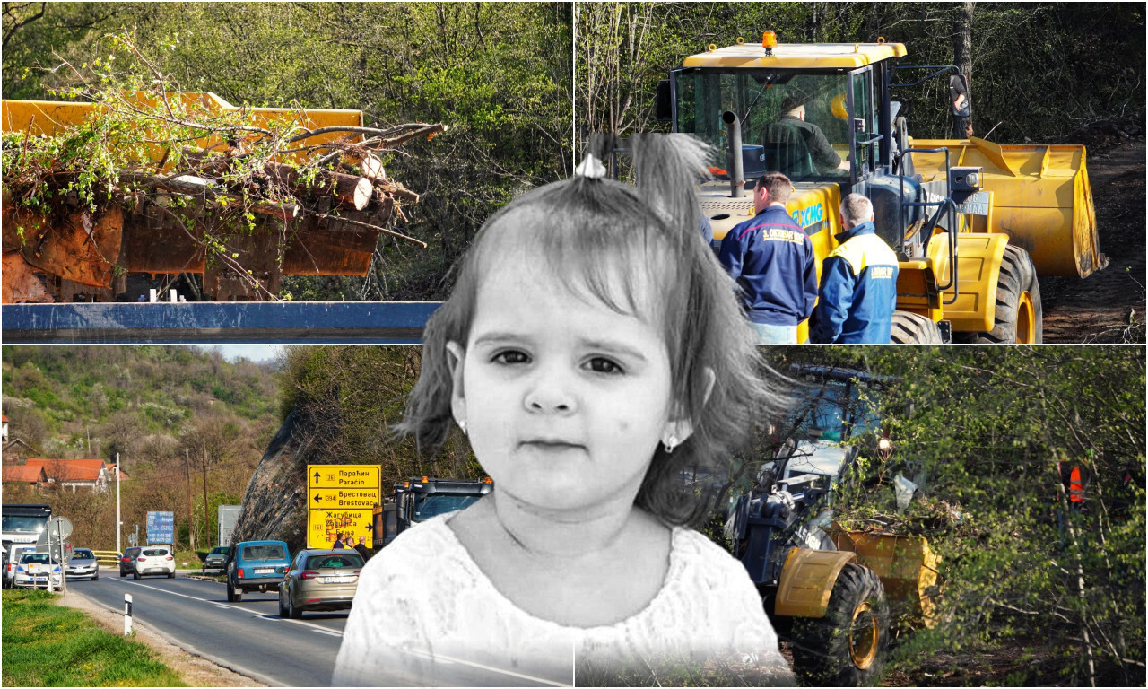 AGONIJA SE NASTAVLJA: Jedan od optuženih za ubistvo MALE DANKE tvrdi da ne MOŽE DA SE SETI GDE JE TELO!