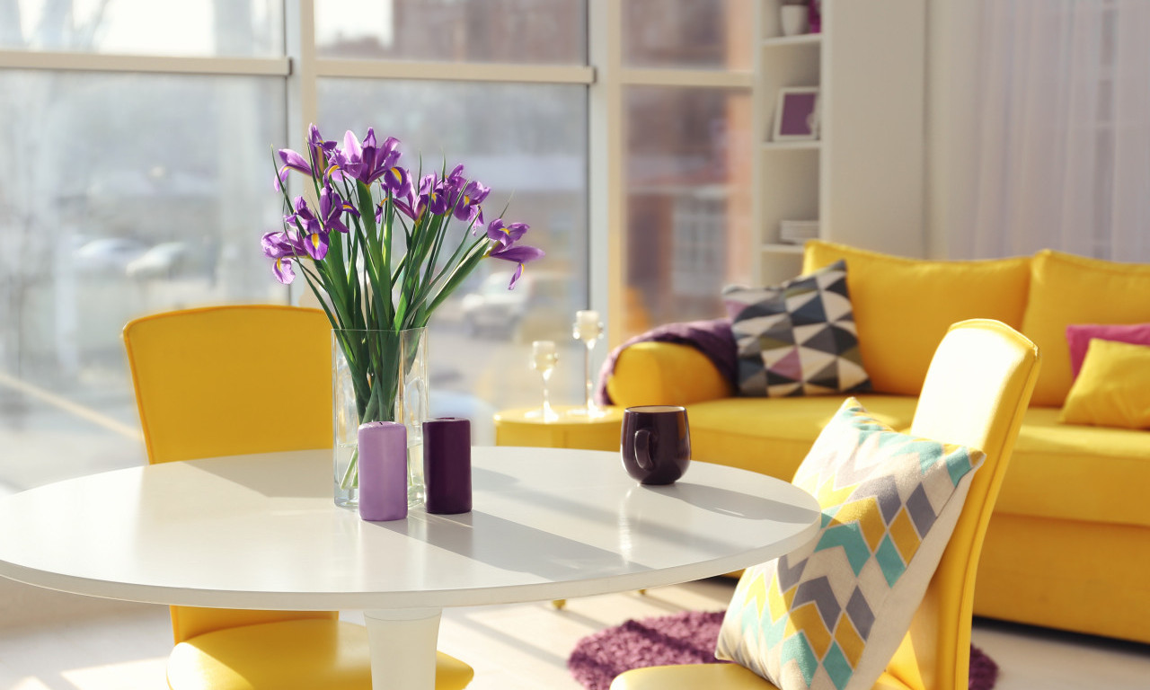 OVO NE SMETE DRŽATI U KUĆI Niste svesni da donosi nesreću u ljubavi i karijeri!