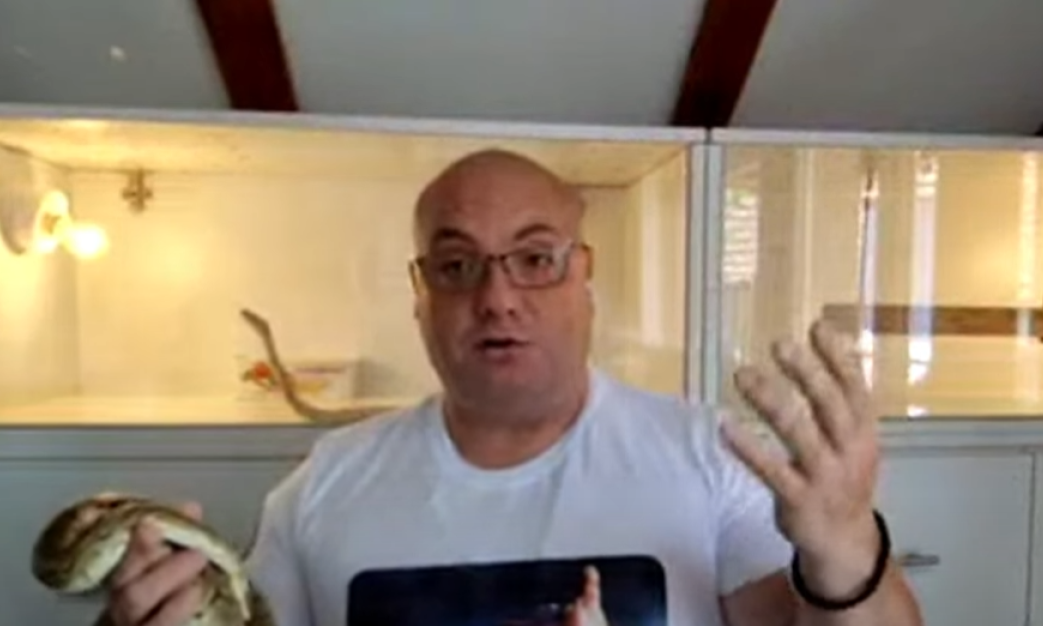 VLADICA DOŠAO DA UHVATI ZMIJU, A ZATEKAO STRAŠAN PRIZOR: Kućom u Vladičinom Hanu trče glodari