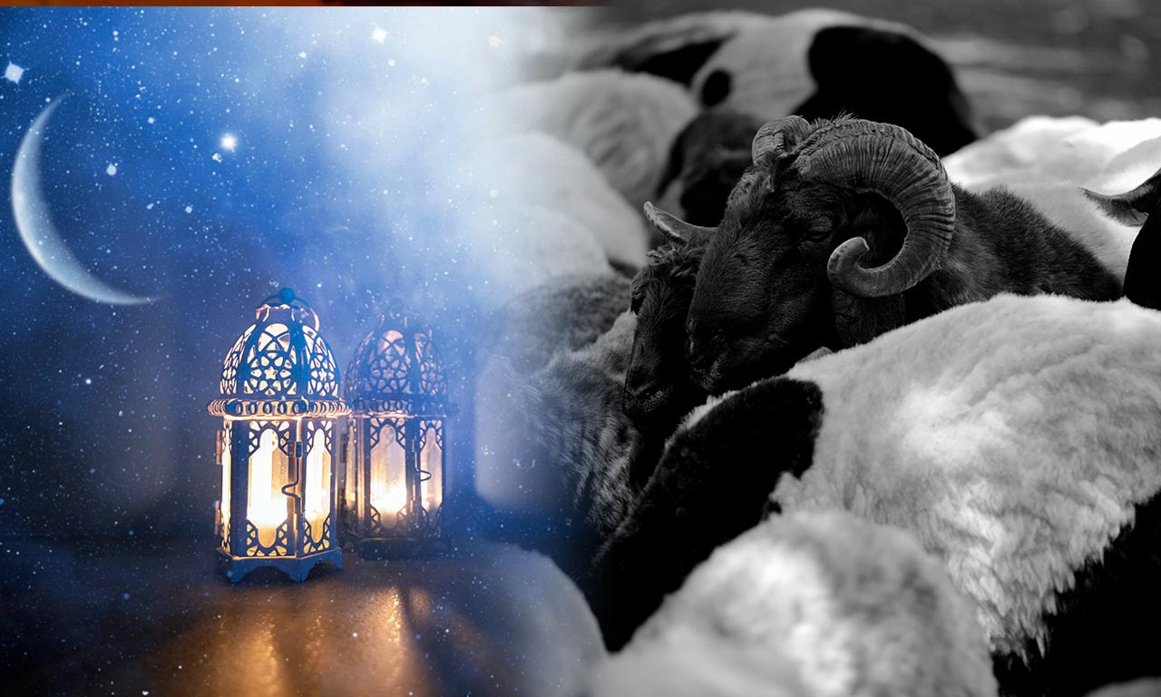 VIŠE OD 14.000 LJUDI POVREĐENO TOKOM PRVOG DANA KURBAN-BAJRAMA Turske vlasti upozoravaju