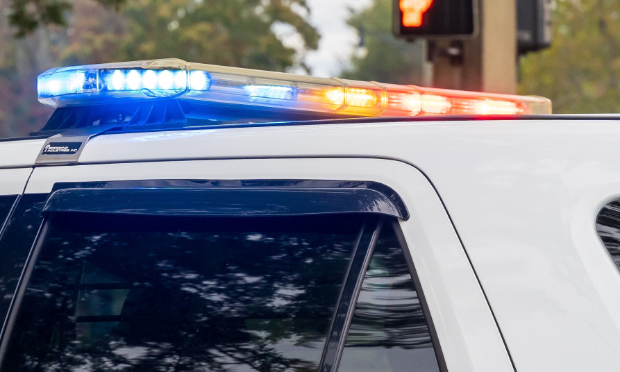 UBIO MEDICINSKU SESTRU, HTEO S NJOM DA NAHRANI SVINJE! Jeziv zločin potresao susednu državu (FOTO)