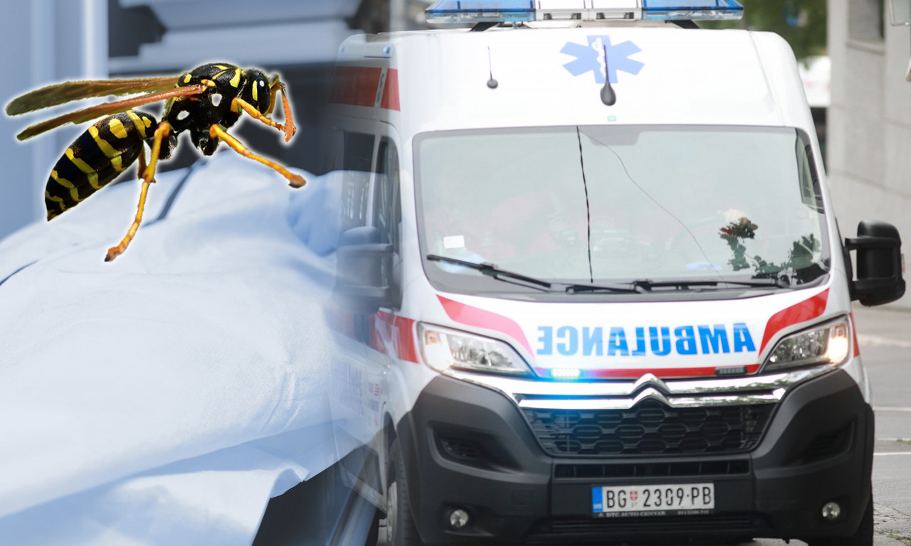 TRAGEDIJA U VIŠNJICI: Muškarac umro posle više uboda stršljena! Nije mu bilo spasa!