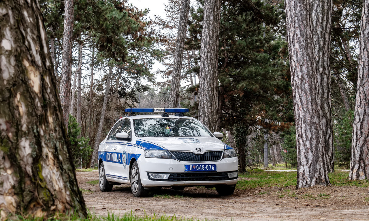 S*KS U ŠUMI NADOMAK BEOGRADA ZAVRŠIO KOBNO Hteo divlju akciju u kolima, ali nije preživeo...