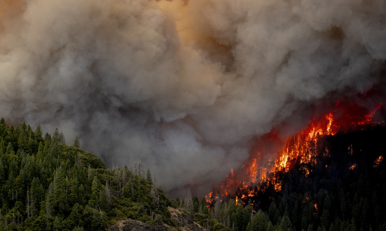 DRAMA U ALEKSINCU: Gori gradska deponija, vatrogasne ekipe se bore sa STIHIJOM!