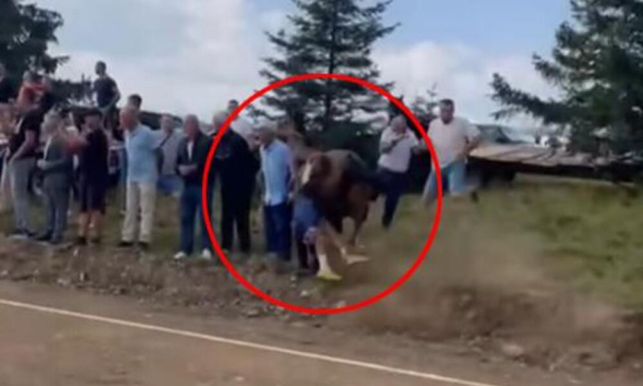 POJAVIO SE UZNEMIRUJUĆI SNIMAK: Ovako je konj uleteo u publiku na trkama, povređena i DECA!