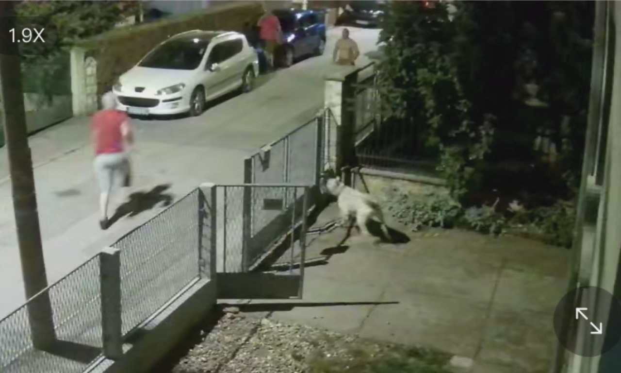 Pogledajte DRAMU U ČAČKU! Lopov pokušao kroz prozor da provali u STAN TRUDNICE, jurile ga KOMŠIJE (VIDEO)