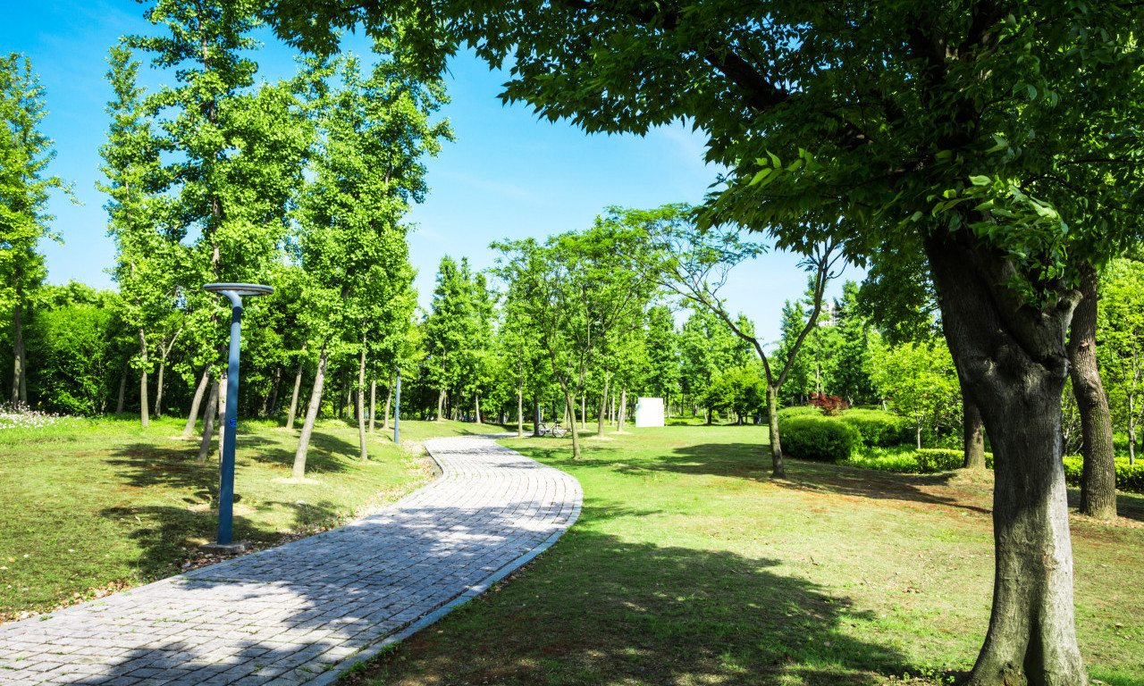 POSLE SVEŽEG JUTRA ČEKA NAS PROLEĆNI DAN Evo kada stiže još toplije vreme