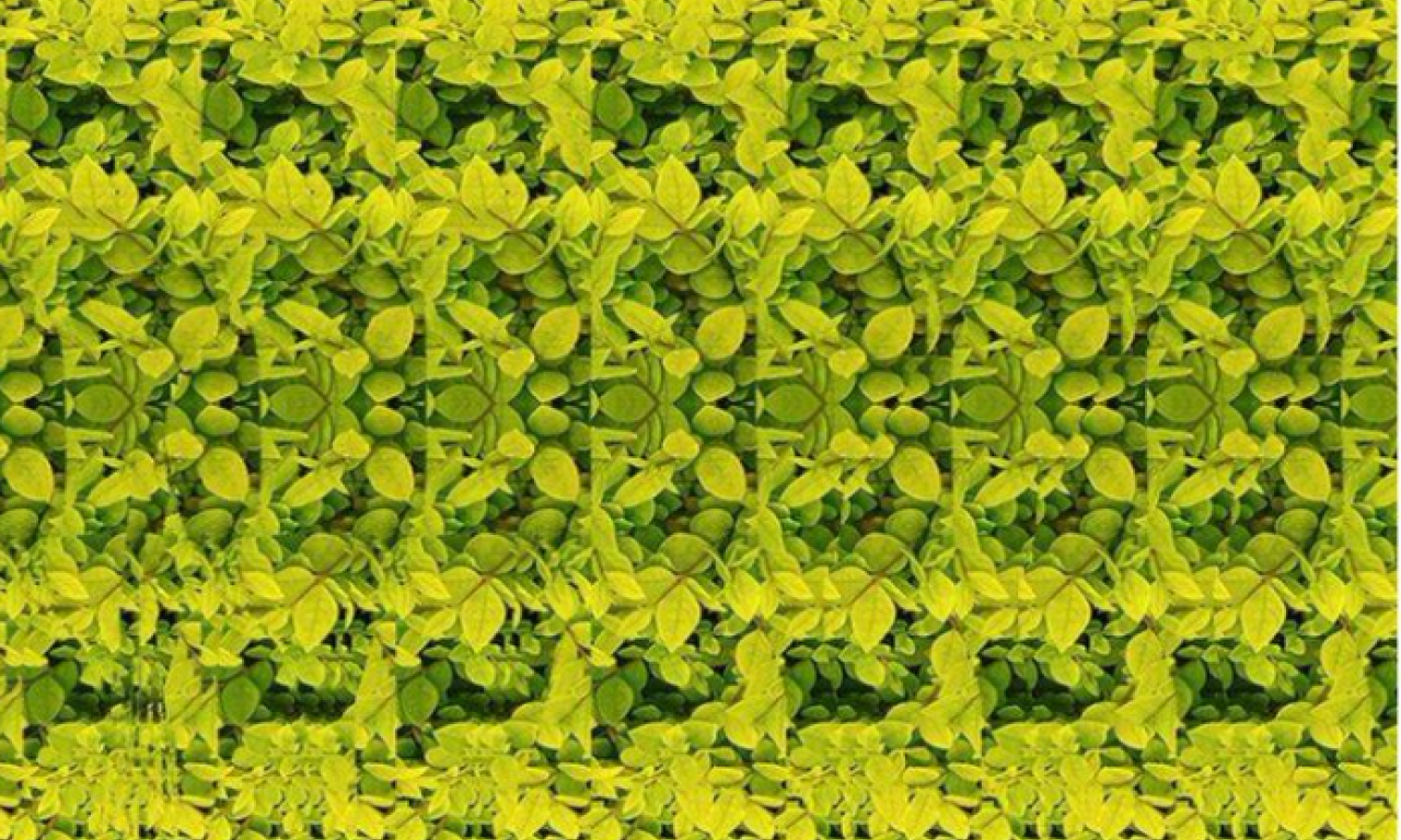 GDE JE ŽIRAFA: Ako je pronađete na slici za 15 sekundi, imate jako visok IQ