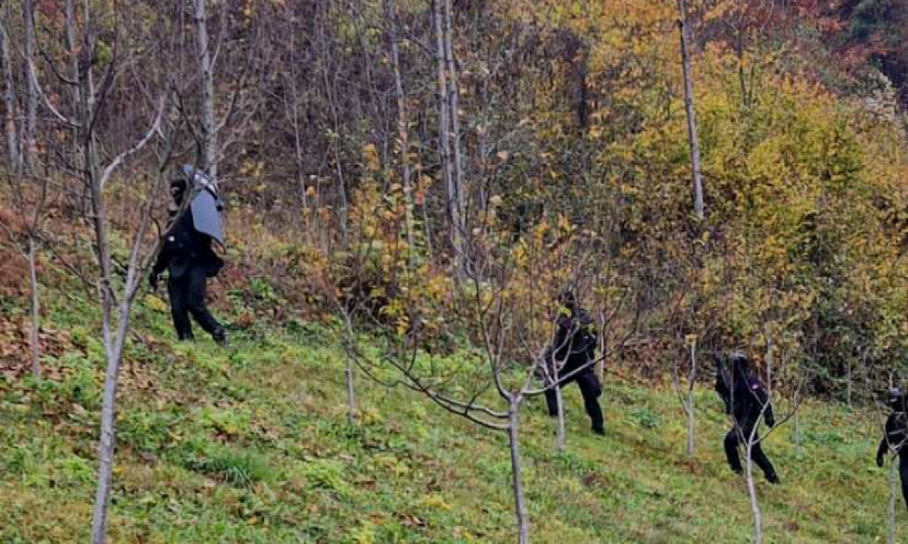 "NALAZIM SE U ŠUMI, VIDIM SPALIONICU" Jezivi detalji nestanka bake u zvezdarskoj šumi, policija "češlja" prema Slancima