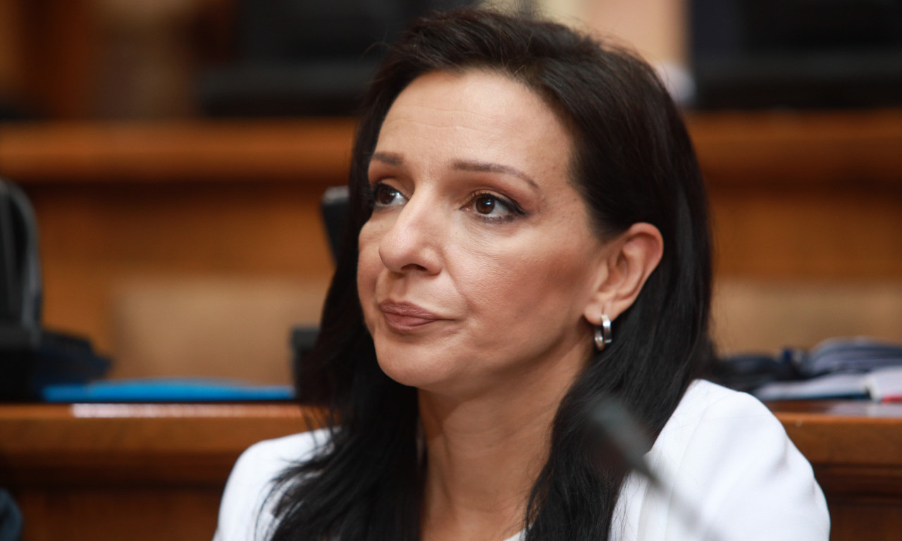 "TO JE NOTORNA LAŽ!" MUP reagovao na tvrdnje Marinike Tepić: "Najobičniji politički pamflet"