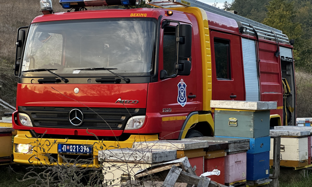 BUKTI POŽAR NA BEŽANIJSKOJ KOSI! Oblak crnog dima nadvio se nad naseljem (FOTO)