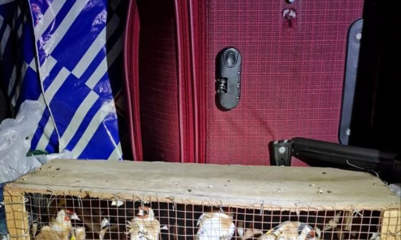 NEVEROVATAN "PLEN" CARINIKA NA HORGOŠU Otvorili prtljažnik autobusa i ostali bez reči (FOTO)