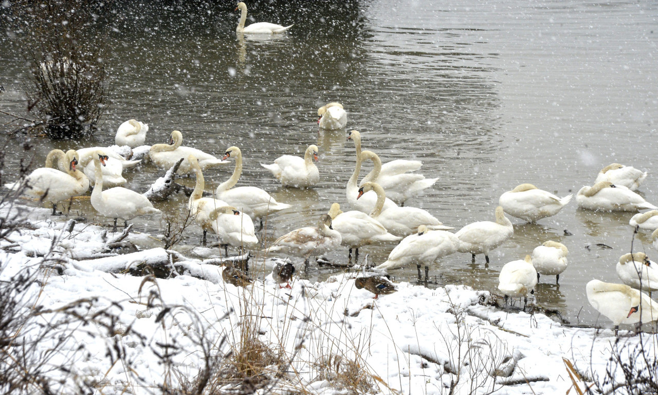 EVO KAKVO NAS VREME OČEKUJE SLEDEĆE NEDELJE Dugoročna vremenska prognoza se mnogima neće svideti