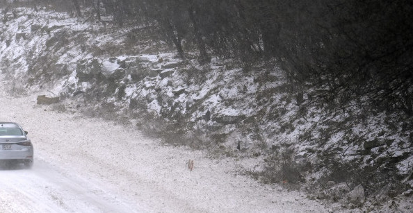 SNEŽNI KOLAPS NA KRČMARU I DIVČIBARAMA: Putevi blokirani, poprečeni kamioni, oboreno drveće! (VIDEO)