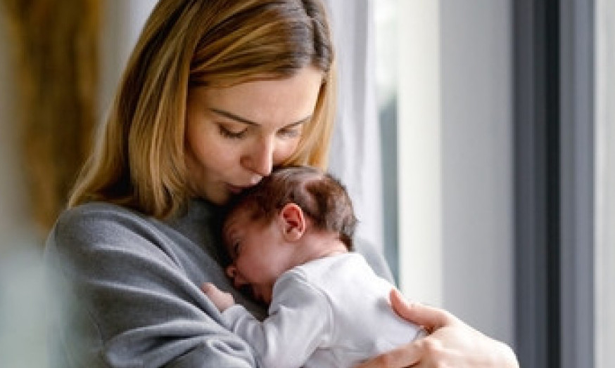 PRODAJA KOLICA ZA PSE NADMAŠILA PRODAJU DEČIJIH! "Kazna za majčinstvo" izazvala ozbiljan problem!