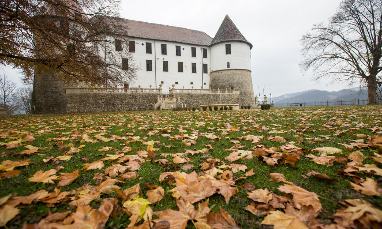 NEVREME U SLOVENIJI OŠTETILO 14 SPOMENIKA KULTURE! Na udaru dvorci, parkovi i istorijske zgrade