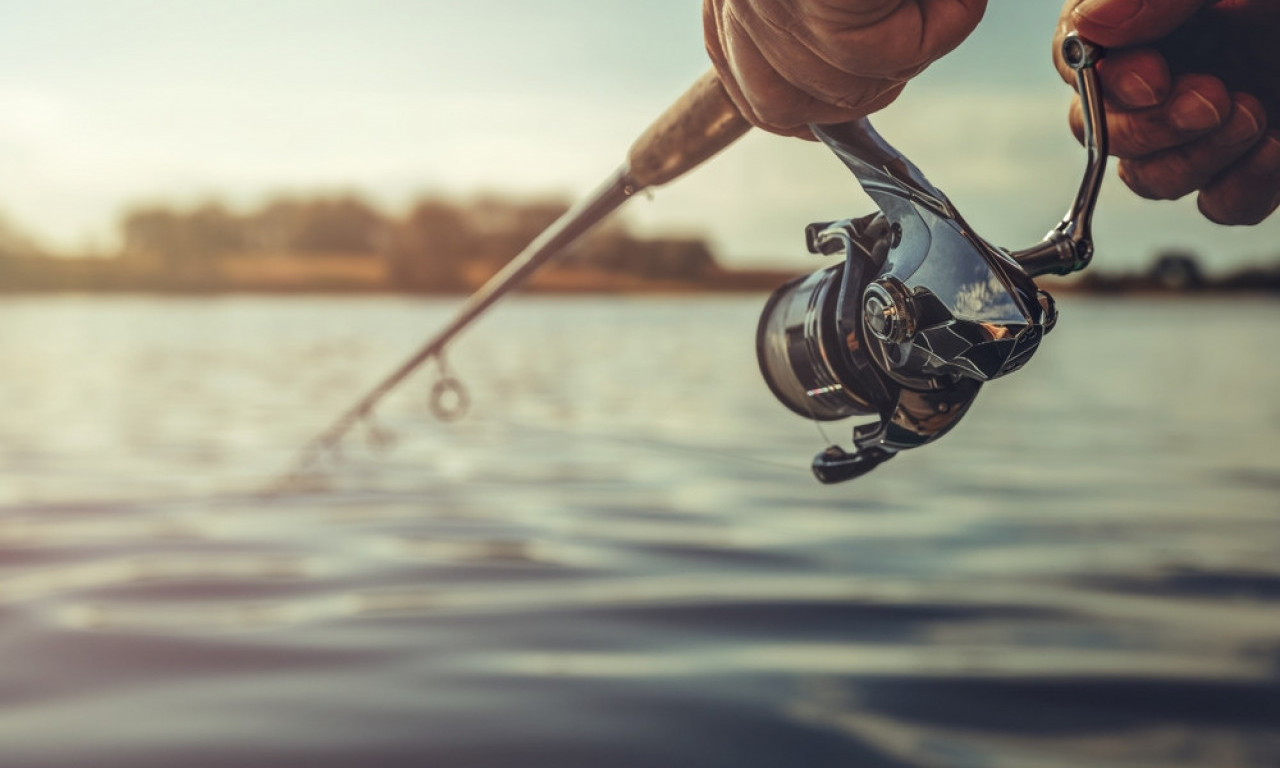 NEVEROVATAN ULOV U DUNAVU Upecana riba koja decenijama nije viđena (FOTO)