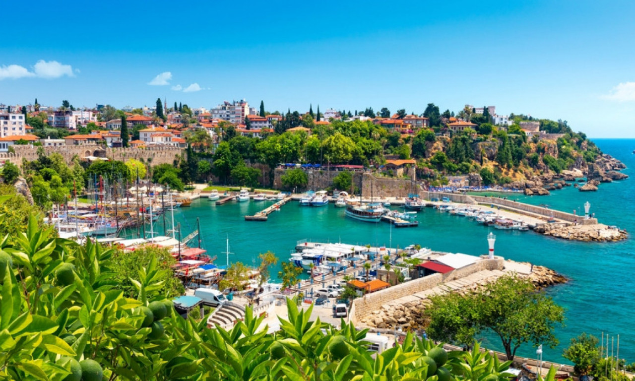 OPASNI SU ZA LJUDE I ŽIVOTINJE Ako idete u Tursku na odmor, ovo morate da znate - Antalija posebno na udaru