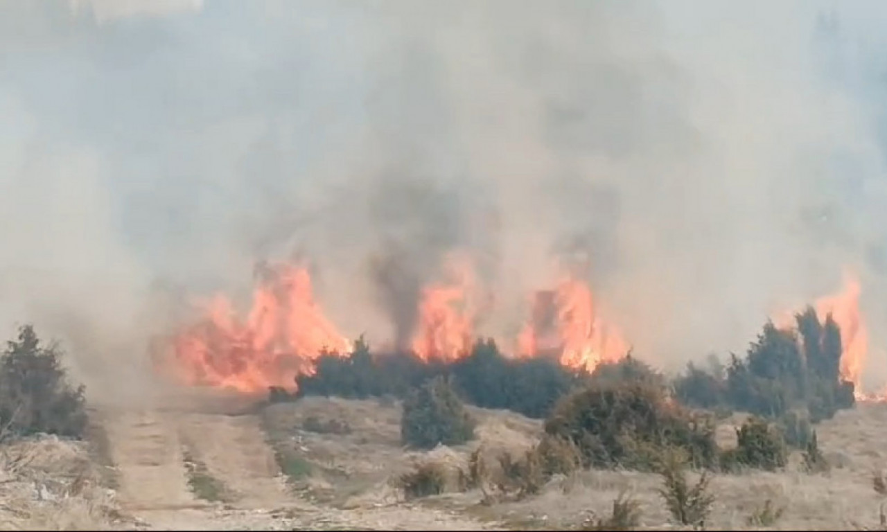 MINISTAR MALI: Vlada hitno izdvojila tri miliona evra za pomoć najugroženijima u požarima