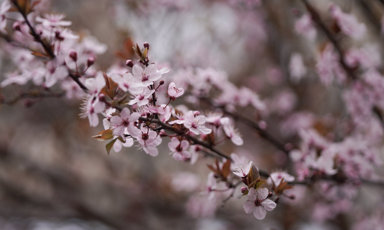 SKOK ZA 20 STEPENI Vremenska prognoza za Uskrs i Prvi maj - ovog datuma stiže preokret!