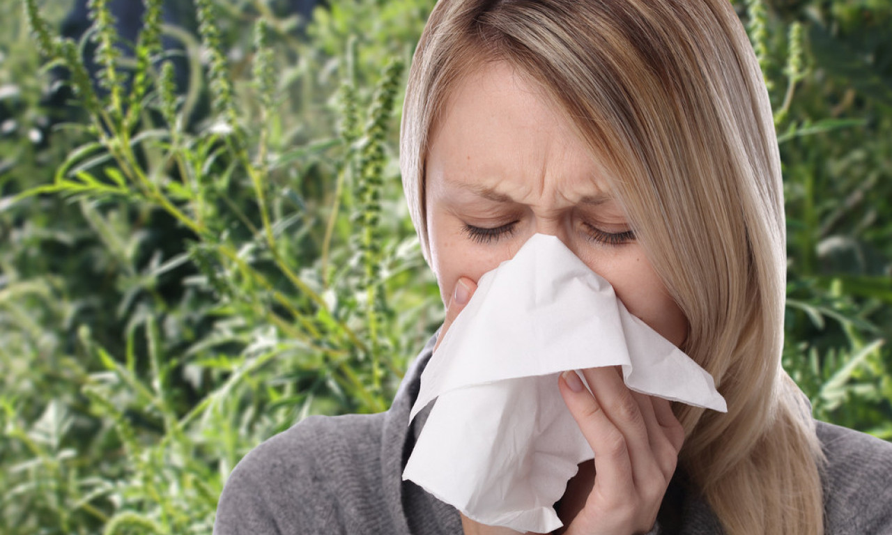 STIGLA APLIKACIJA AMBTRACK! Ovako možete prijaviti i pratiti ambroziju u svom kraju