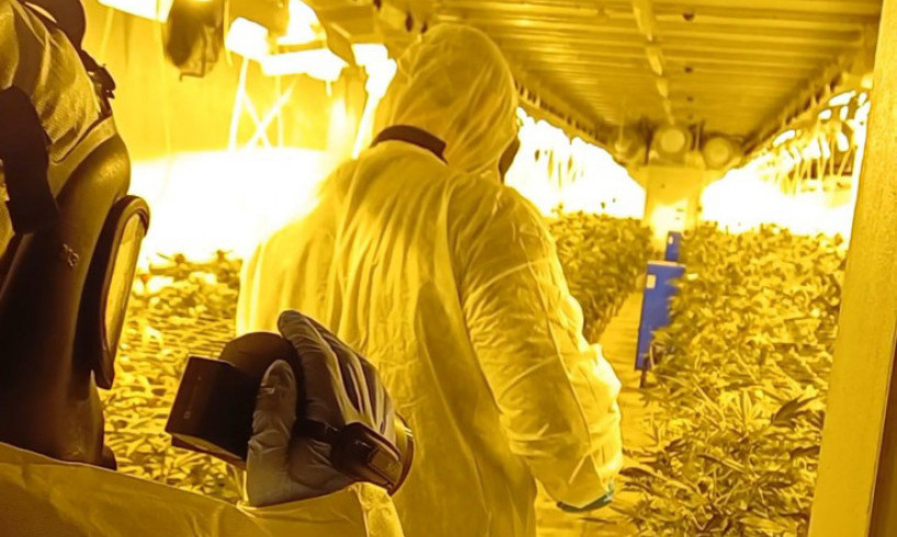 ILEGALNA LABORATORIJA NAĐENA KOD NOVOG BEČEJA Bila puna droge! Šokiraćete se kada vidite količinu (FOTO)