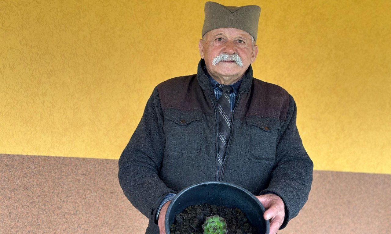 BILJKA KOJA ČUVA I KUĆU I ZDRAVLJE Najpoznatiji srpski travar Mirko otkriva od čega vas sve štiti čuvarkuća (FOTO)