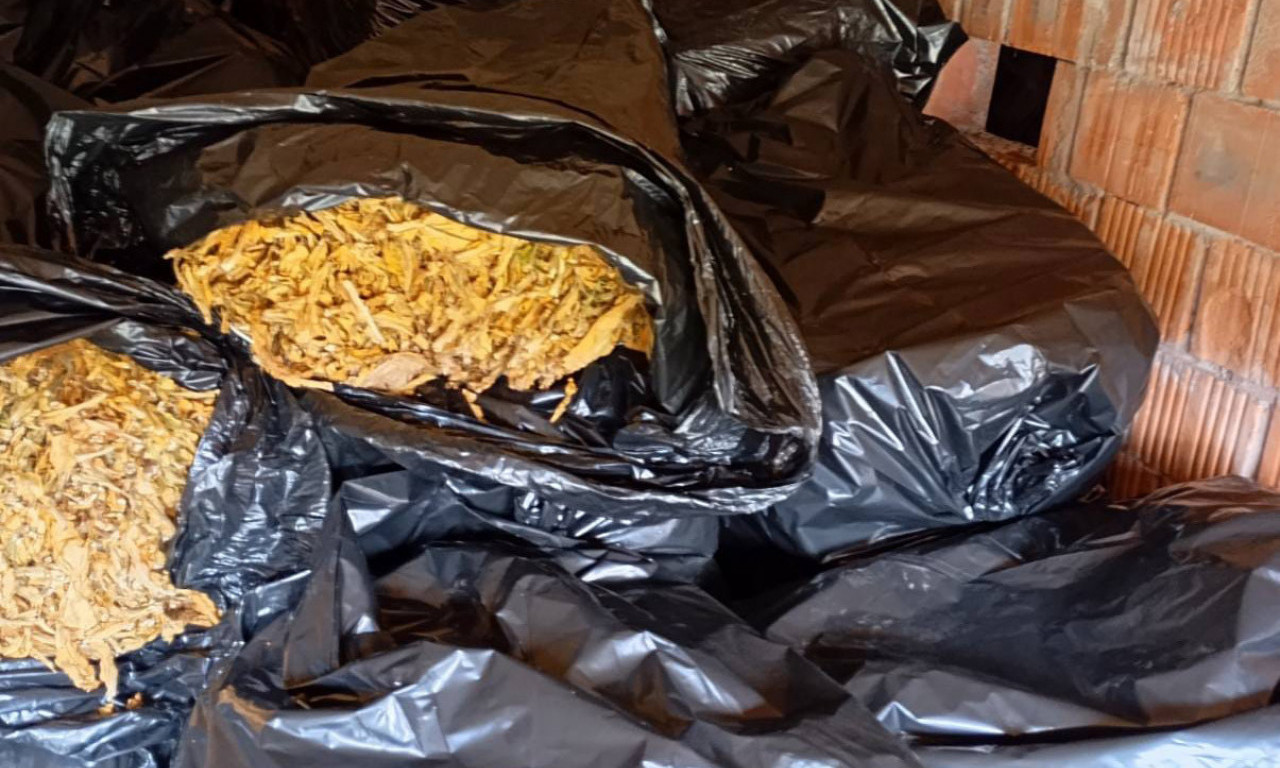 VELIKA AKCIJA POLICIJE ŠIROM SRBIJE Oštetili budžet za milionsku cifru! Evo šta je pronađeno kod uhapšenih (FOTO)