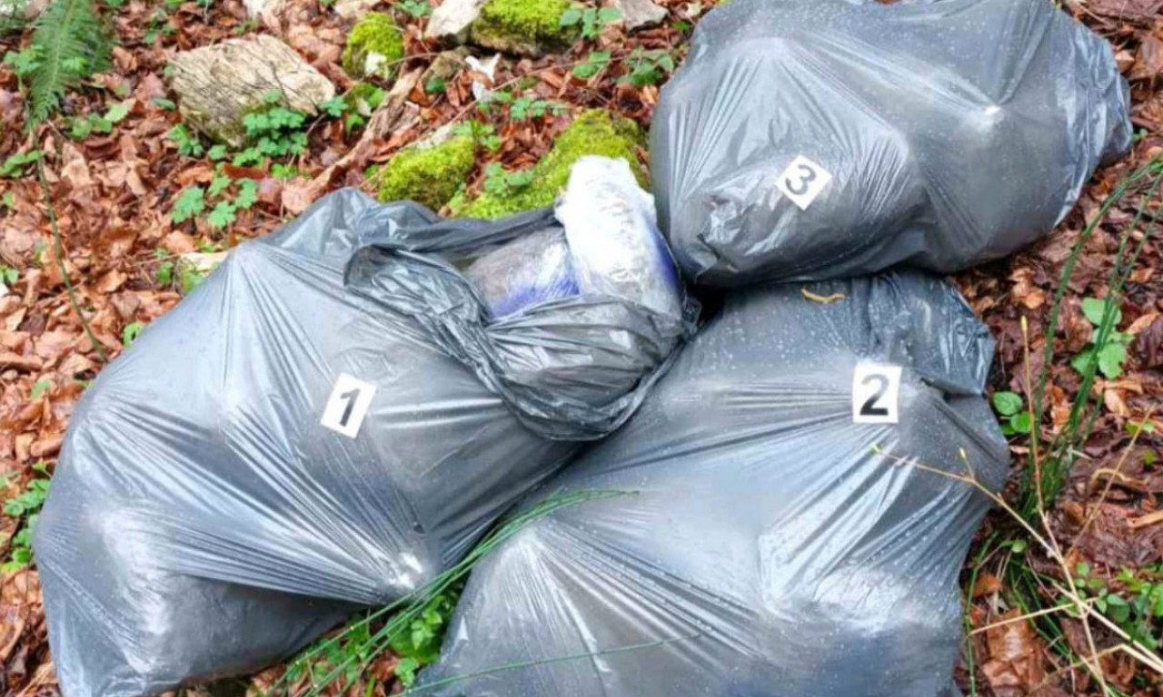 POLICIJA PRONAŠLA MARIHUANU VREDNU VIŠE DESETINA HILJADA EVRA U ŠUMI! Pokrenuta istraga (FOTO)