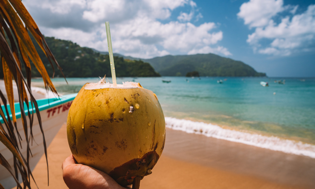 POPIO OVO PIĆE, PA PREMINUO U NAJGORIM MUKAMA! Svima nam je omiljeno na odmorima, a nismo znali da može da ubije (VIDEO)