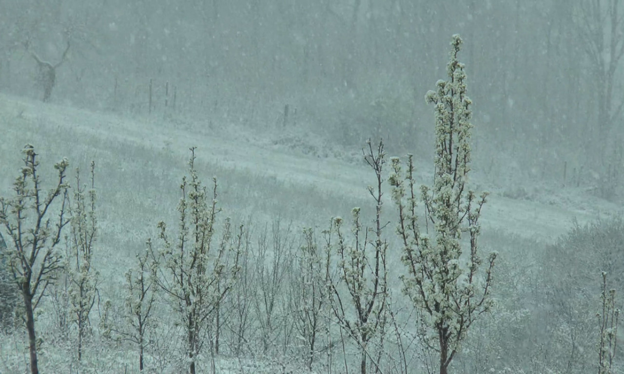 SNEG I U KOMŠILUKU Jul, a temperature ispod nule! Šta se dešava sa prirodom? (FOTO)