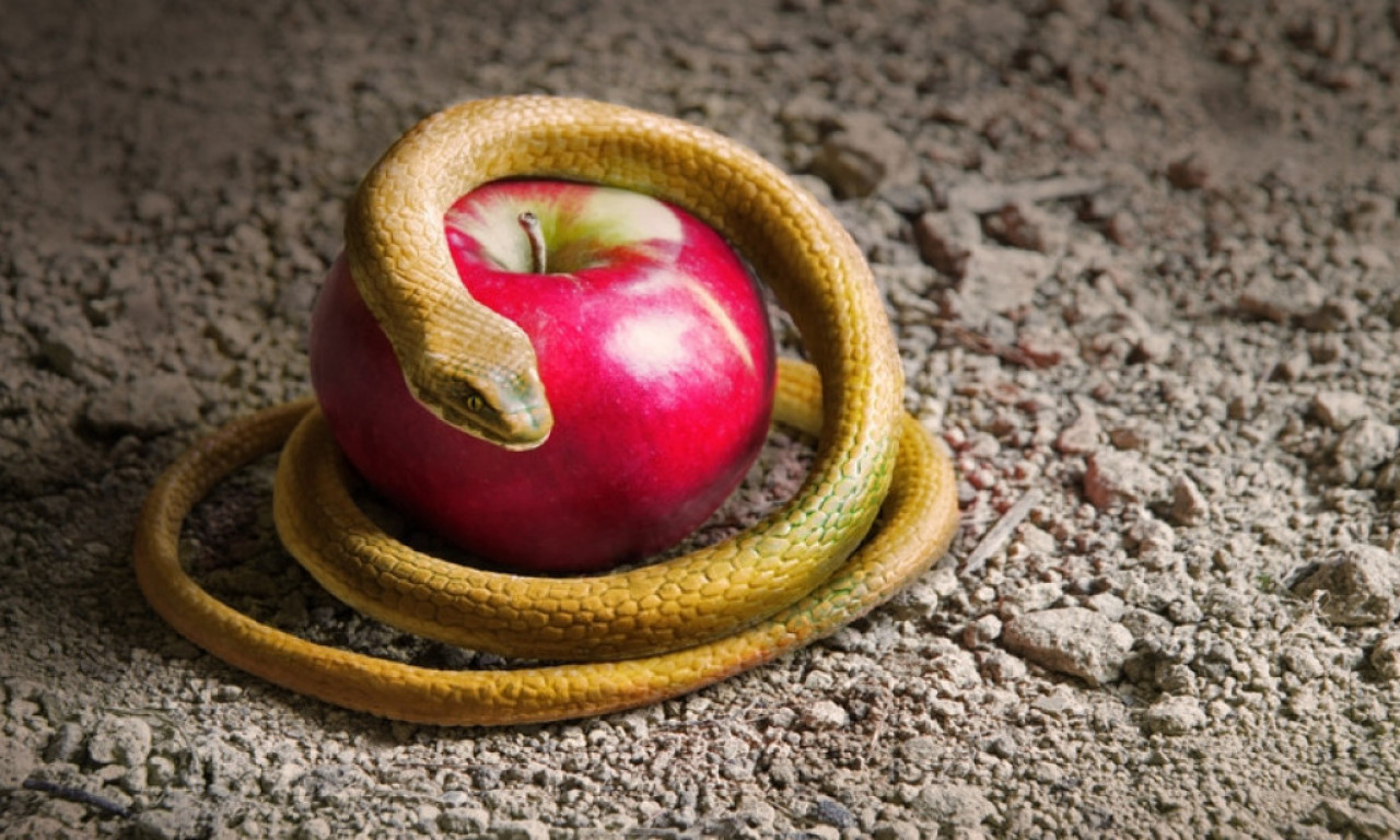 PREKO 100 DECE SE OTROVALO U ŠKOLI Mrtva zmija pronađena u njihovim obrocima!