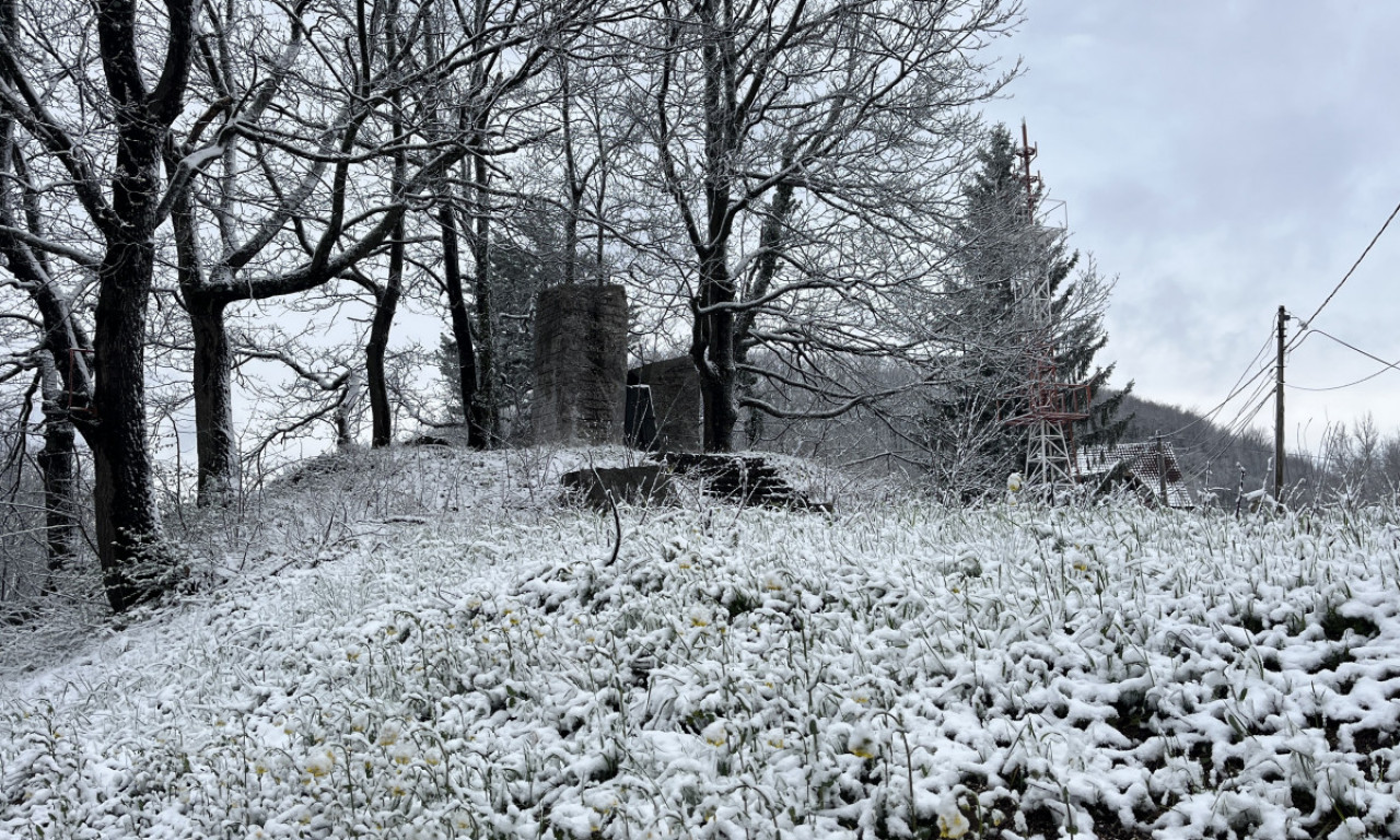 SRBIJA POD SNEGOM U MAJU Evo gde pada - srpska planina se zabelela!