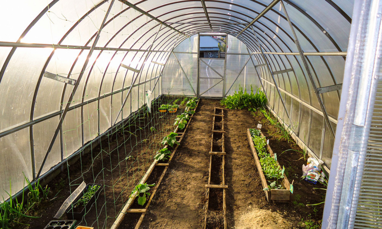 DOBRA VEST ZA POLJOPRIVREDNE ŠKOLE I NJIHOVE UČENIKE Bespovratna sredstva za podizanje plastenika i ne samo to